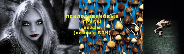каннабис Арсеньев