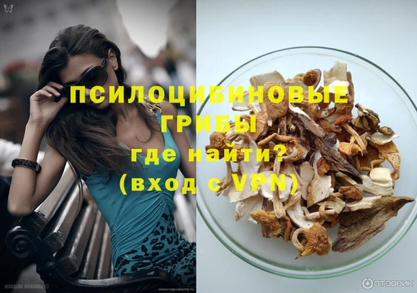 бошки Аркадак