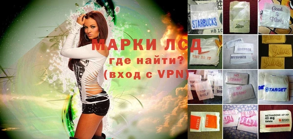 прущие грибы Сатка