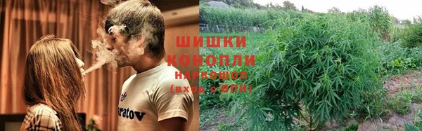 каннабис Арсеньев